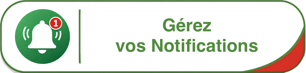 bouton notifications 2